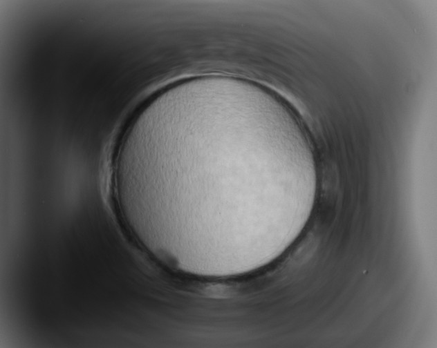 X0000087541507200705181039