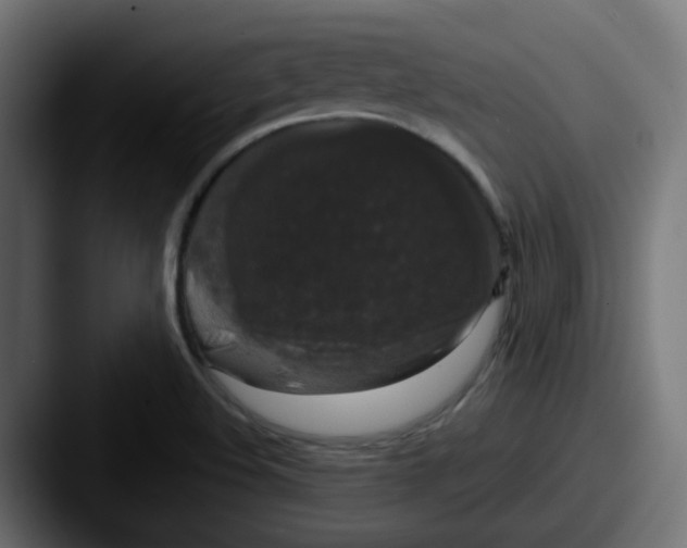 X0000087541508200705181039