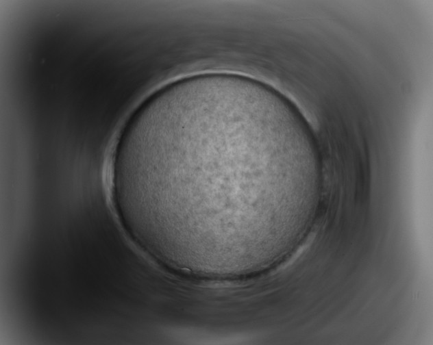 X0000087541511200705181039