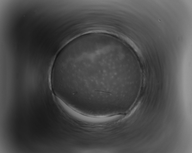 X0000087541513200705181039