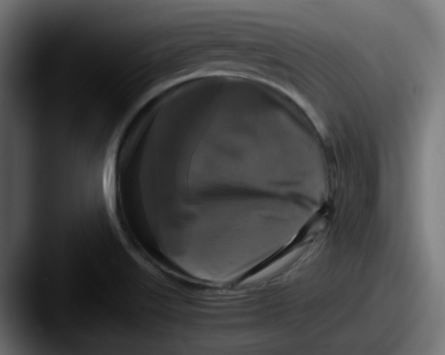 X0000087541515200705181039