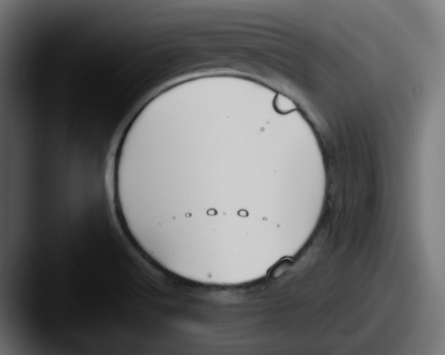 X0000087541516200705181039