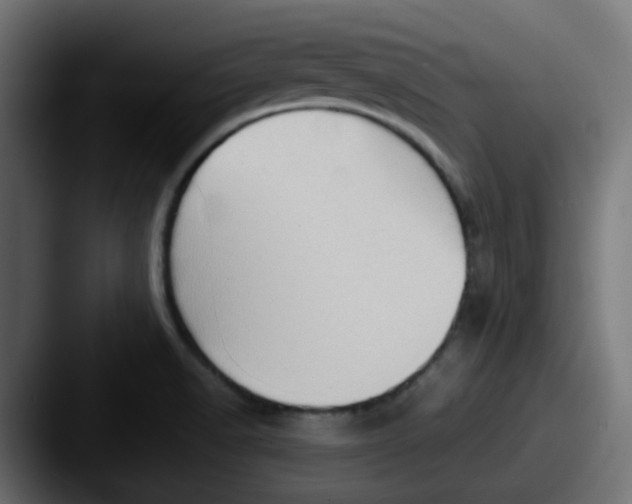 X0000087541518200705181039
