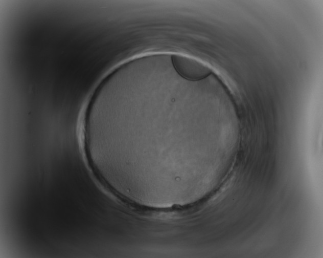 X0000087541519200705181039