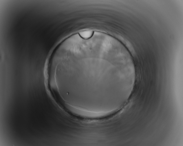 X0000087541522200705181039