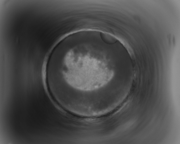 X0000087541523200705181039