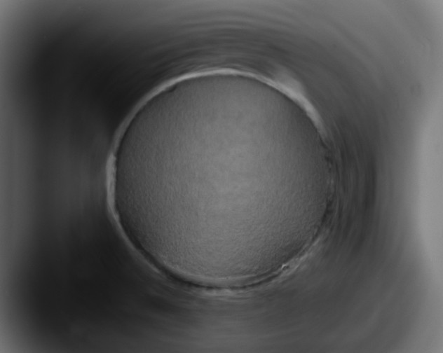 X0000087541524200705181039