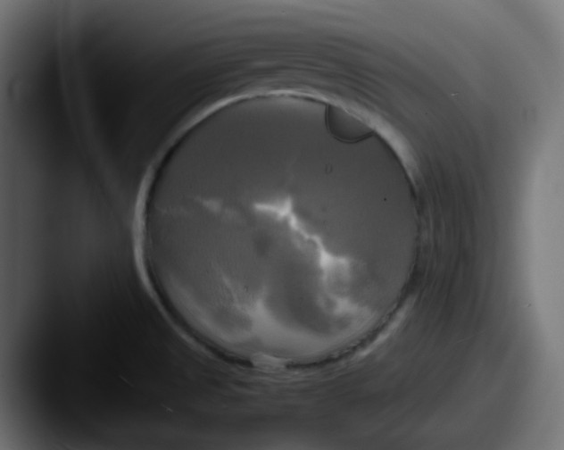 X0000087541525200705181039