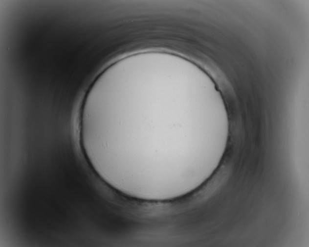 X0000087541526200705181039