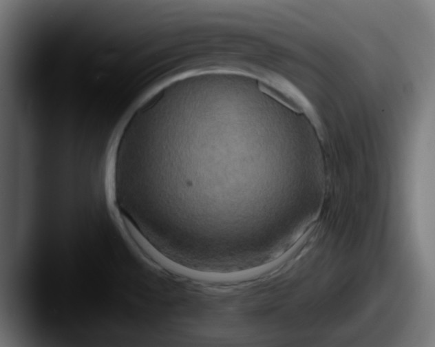 X0000087541528200705181039