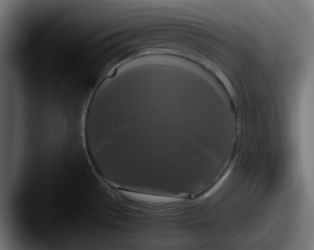 X0000087541529200705181039