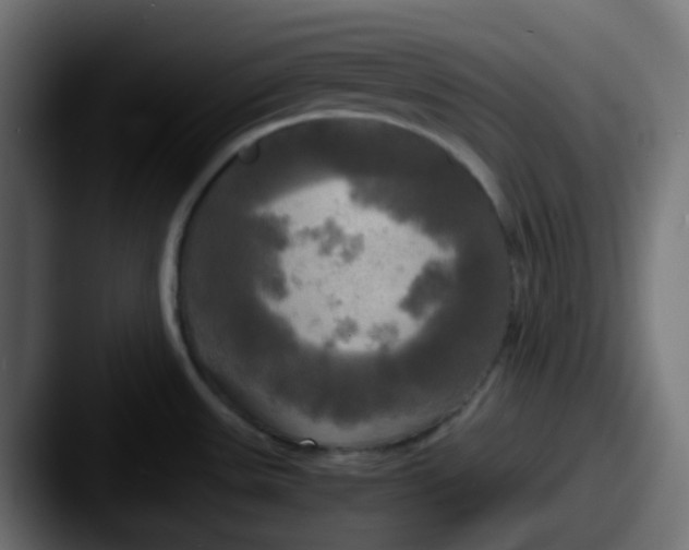 X0000087541531200705181039
