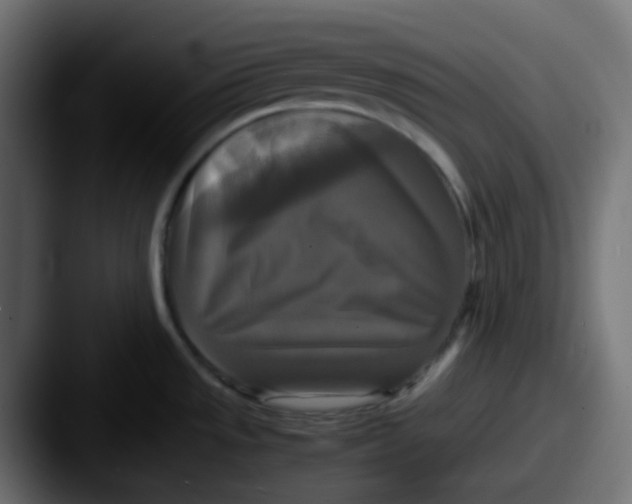 X0000087541533200705181039