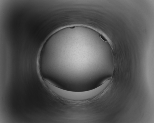 X0000087541534200705181039