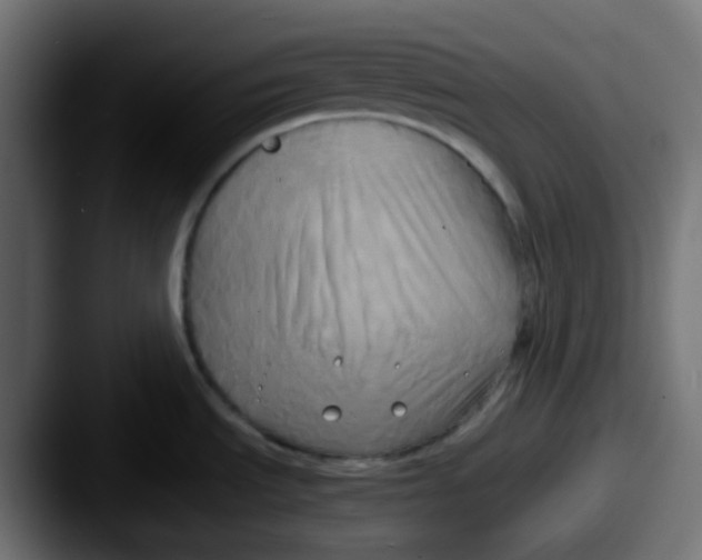 X0000087541535200705181039