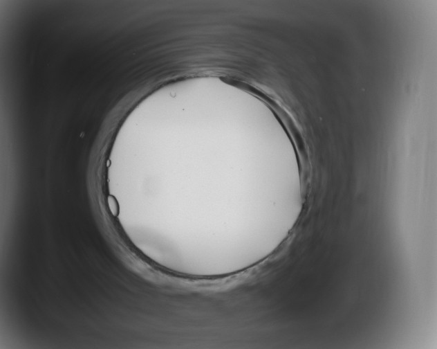 X0000087540001200705251729