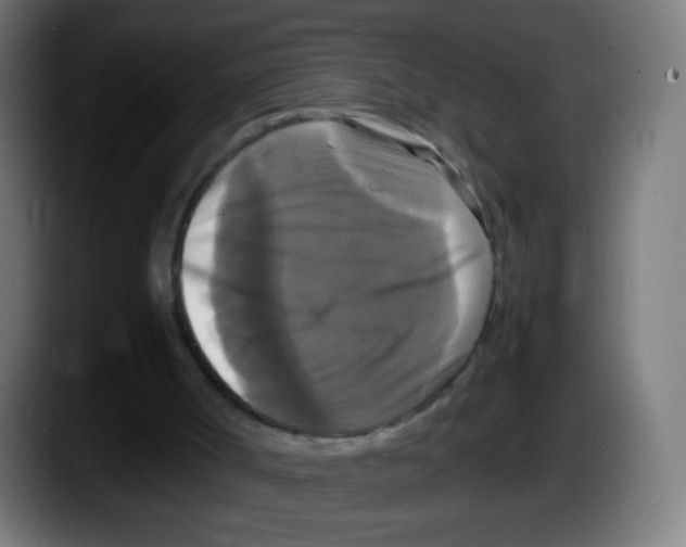 X0000087540002200705251729