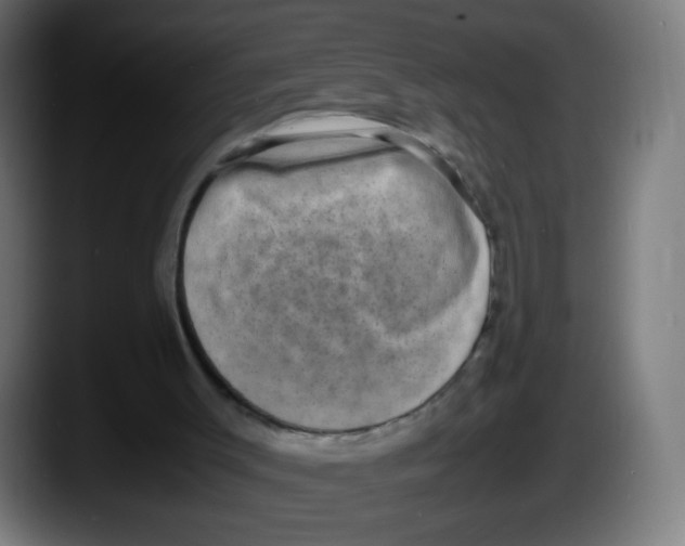 X0000087540003200705251729