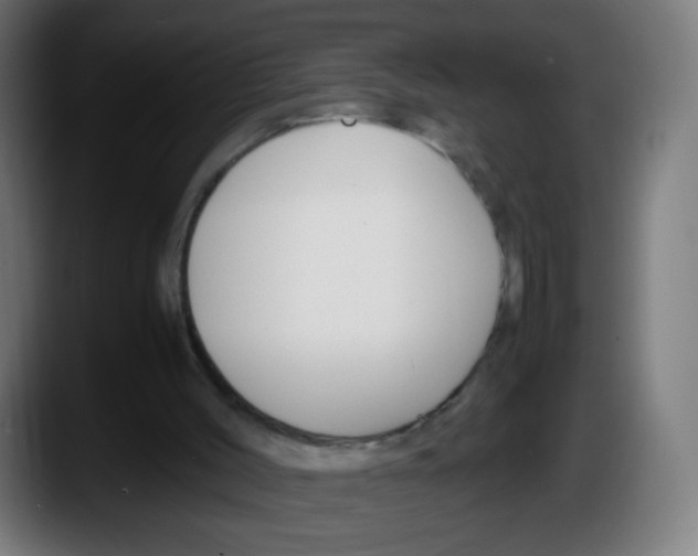 X0000087540004200705251729