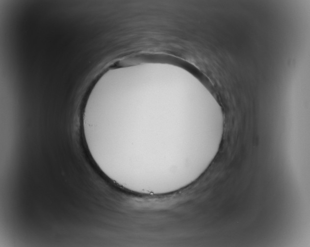 X0000087540005200705251729