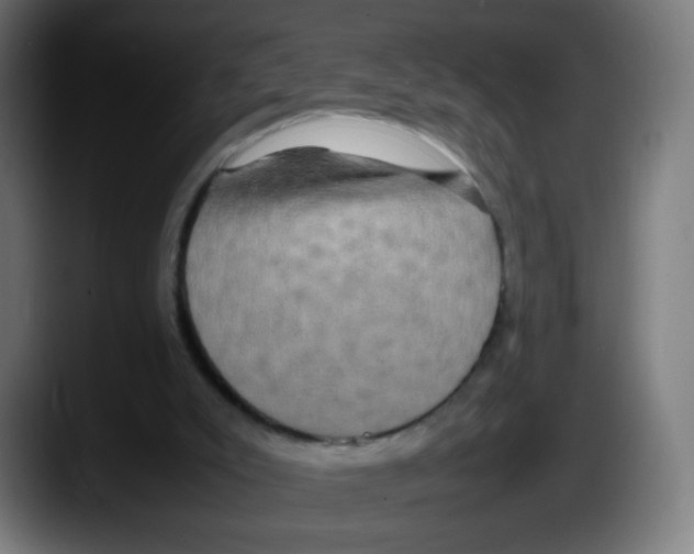 X0000087540007200705251729