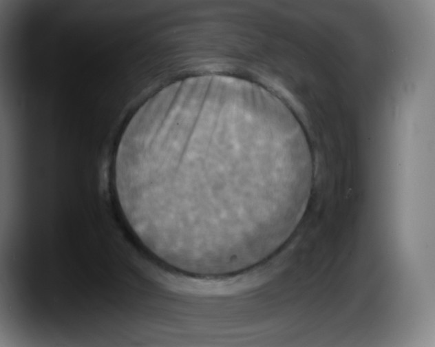 X0000087540010200705251729