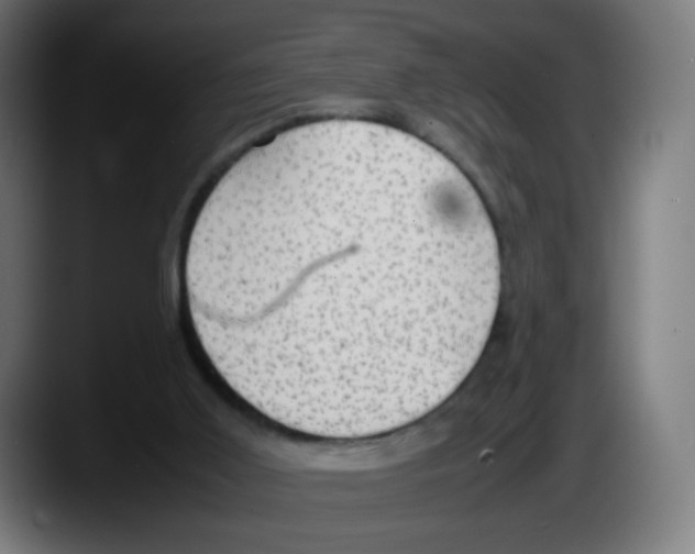 X0000087540011200705251729