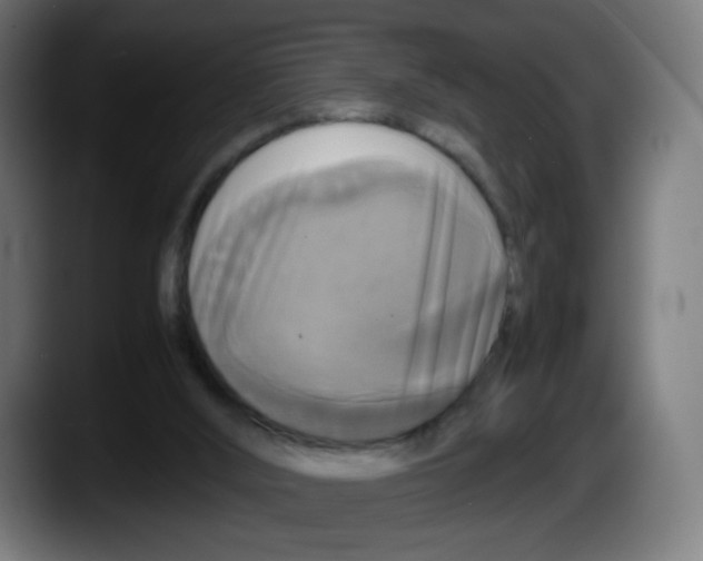 X0000087540012200705251729