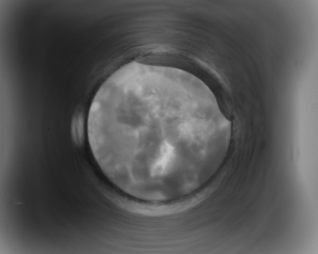 X0000087540014200705251729