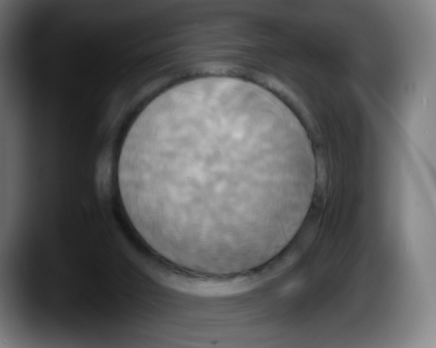 X0000087540016200705251729