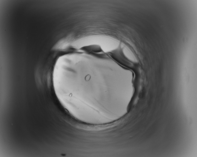 X0000087540019200705251729