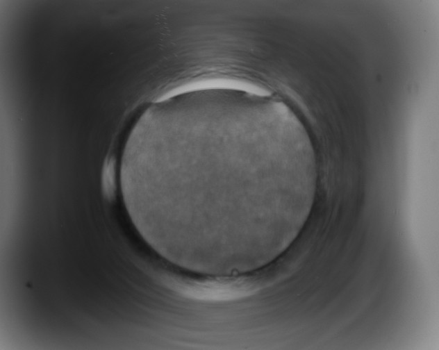 X0000087540020200705251729