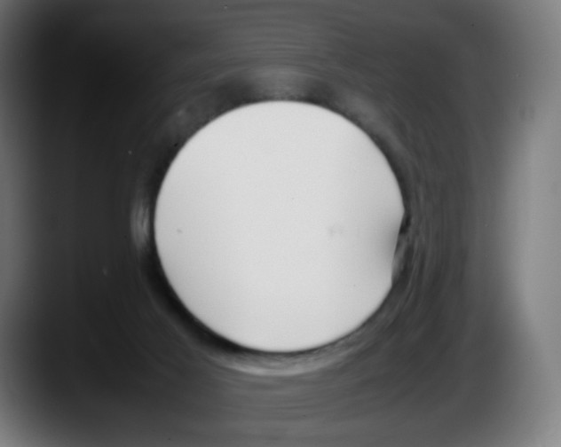 X0000087540021200705251729