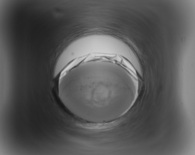 X0000087540023200705251729