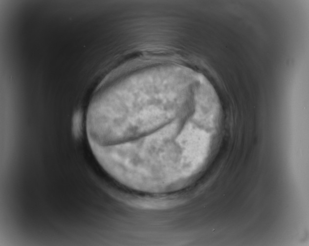 X0000087540024200705251729