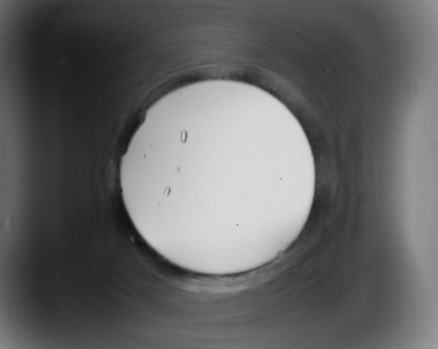 X0000087540025200705251729