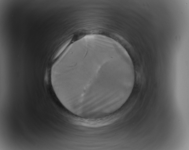 X0000087540026200705251729