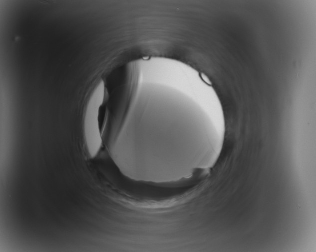 X0000087540027200705251729