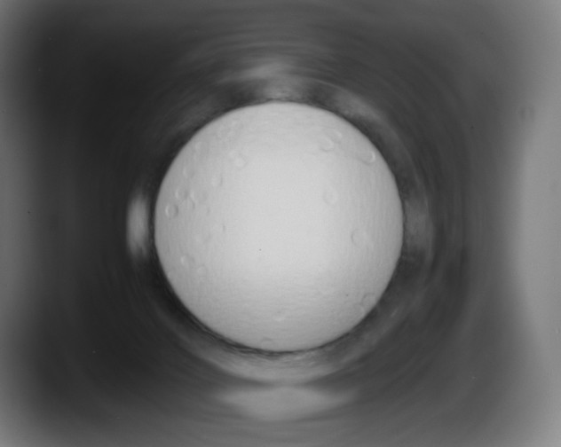 X0000087540028200705251729