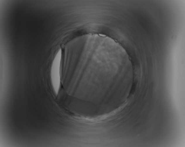 X0000087540029200705251729