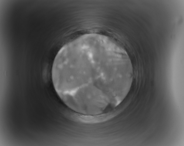 X0000087540030200705251729