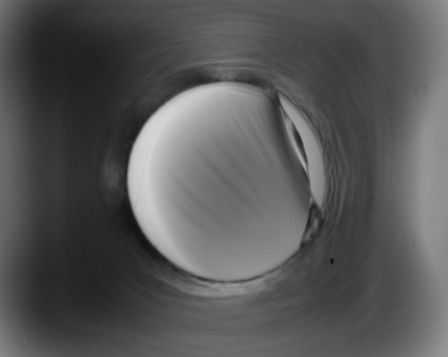 X0000087540031200705251729