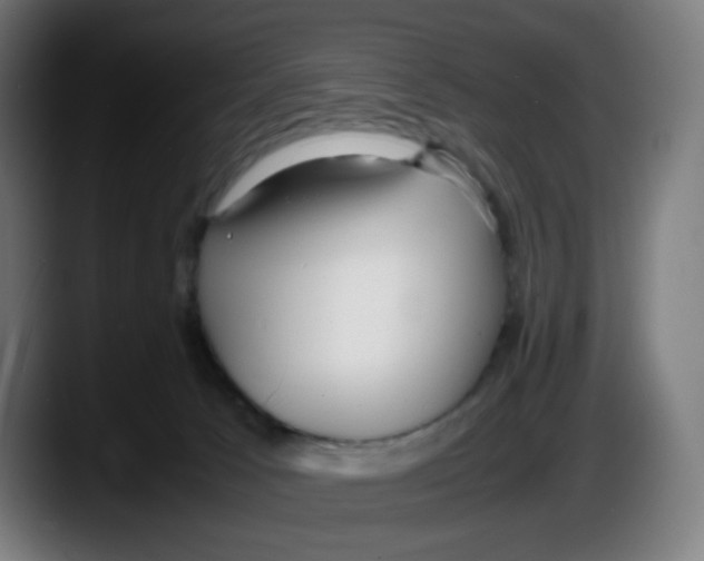 X0000087540033200705251729