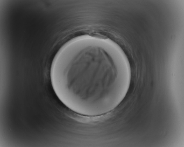 X0000087540035200705251729