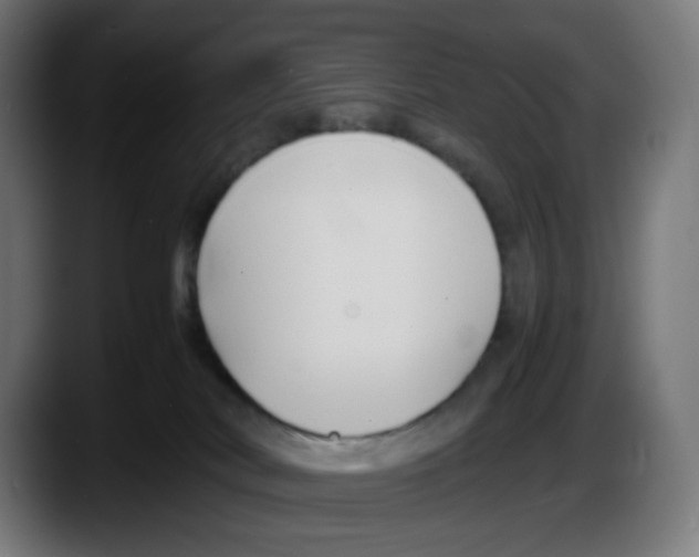 X0000087540038200705251729