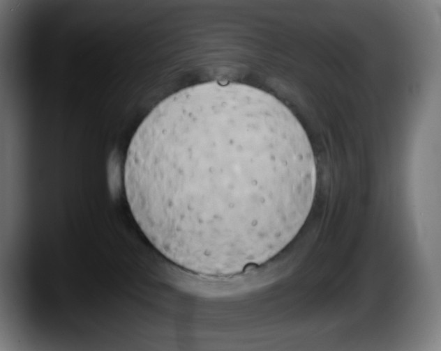 X0000087540042200705251729