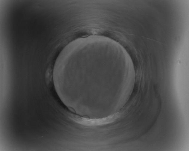 X0000087540043200705251729