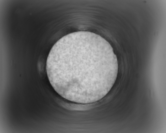 X0000087540044200705251729