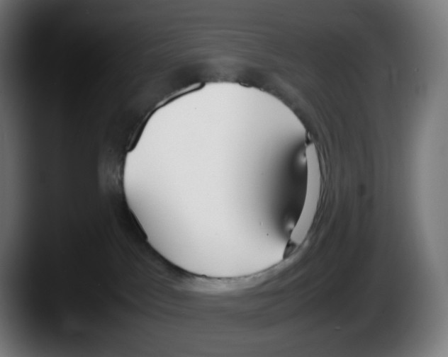 X0000087540045200705251729