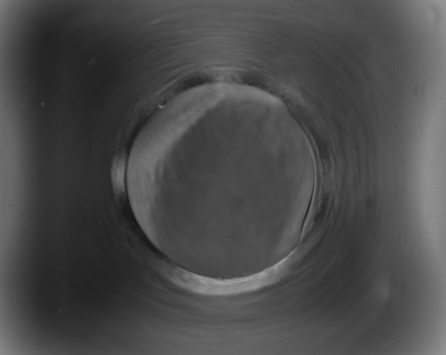 X0000087540047200705251729